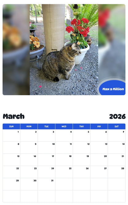 November 2025 - October 2026 Max a Million - Pawidols Pet Calendar