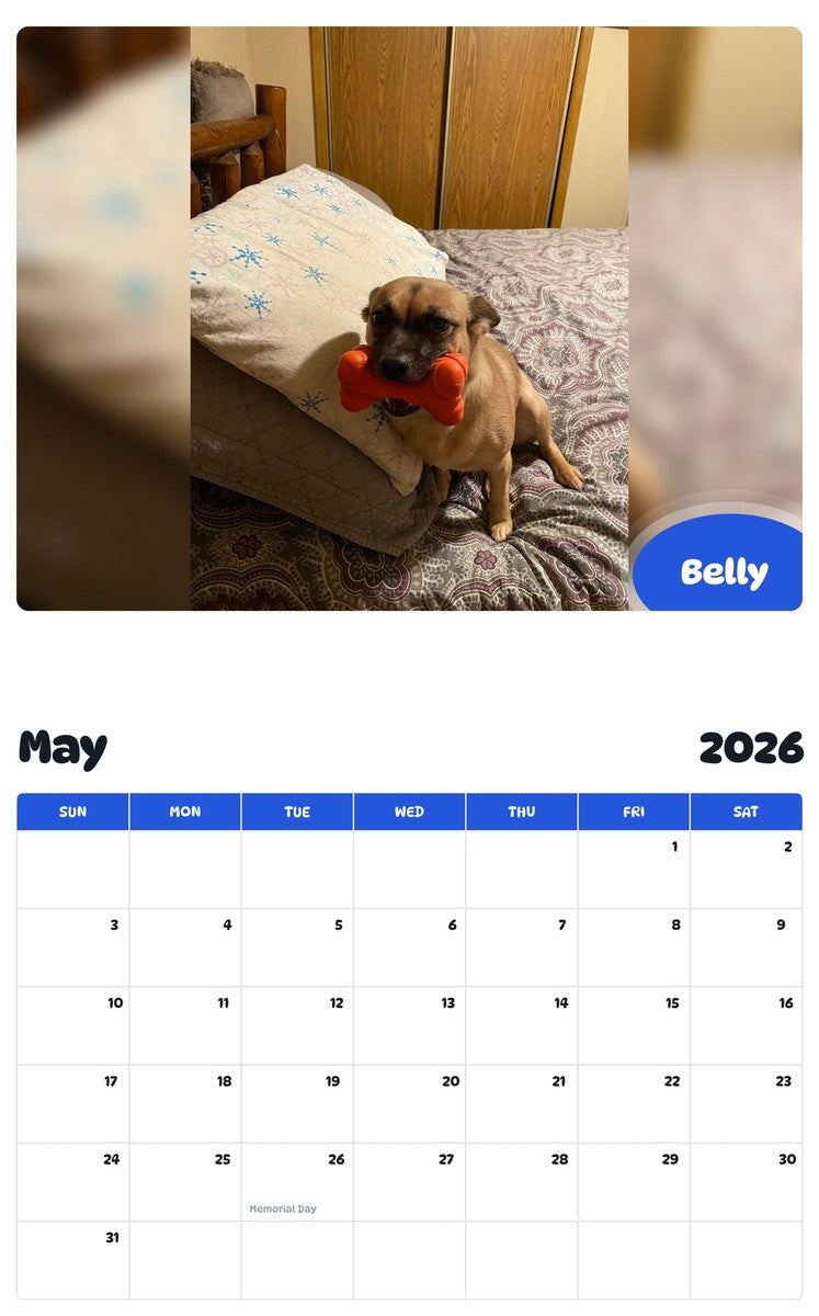 2026 - 2027 Belly - Pawidols Pet Calendar