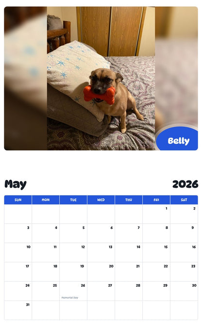 2026 - 2027 Belly - Pawidols Pet Calendar