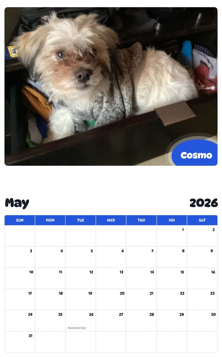 2026 - 2027 Cosmo - Pawidols Pet Calendar