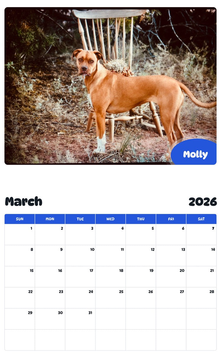 November 2025 - October 2026 Molly - Pawidols Pet Calendar