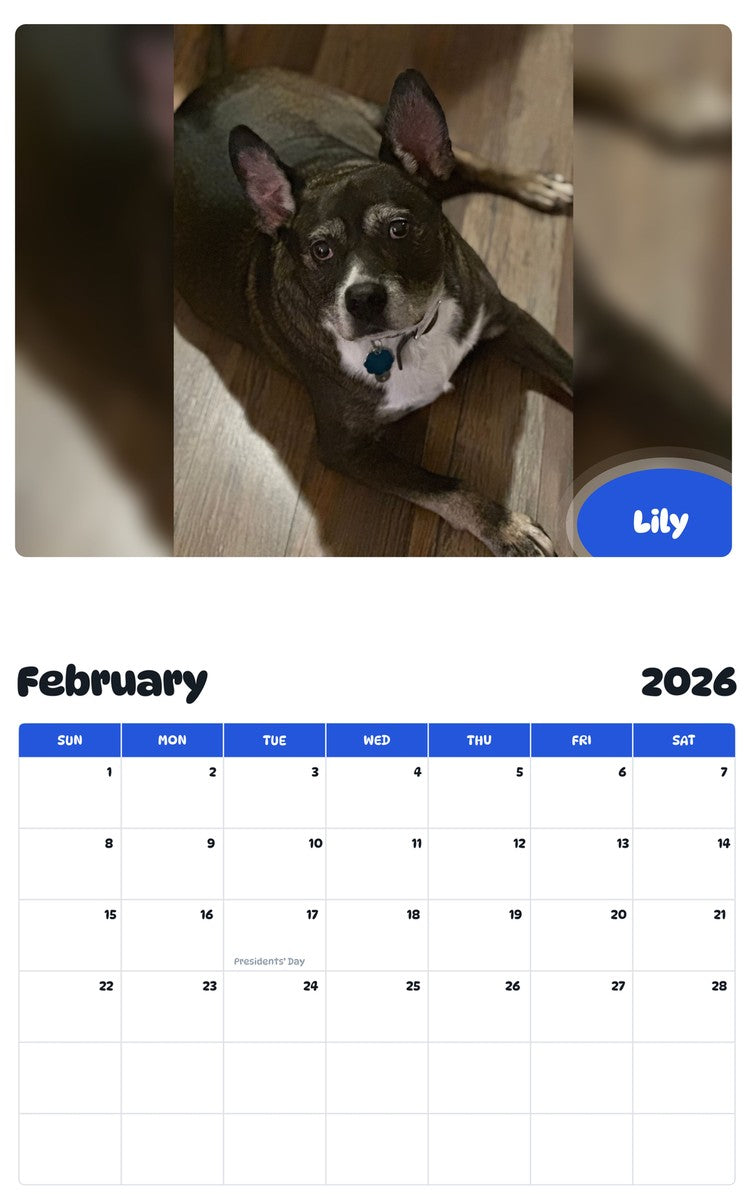 October 2025 - September 2026 Lily - Pawidols Pet Calendar