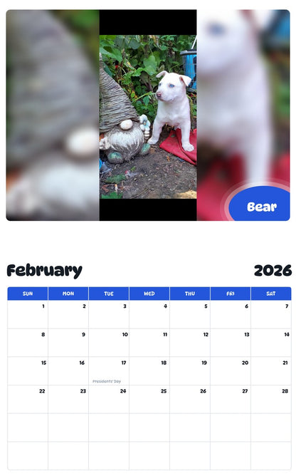 October 2025 - September 2026 Bear - Pawidols Pet Calendar