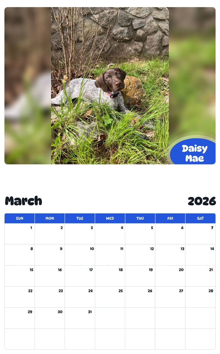 November 2025 - October 2026 Daisy Mae - Pawidols Pet Calendar