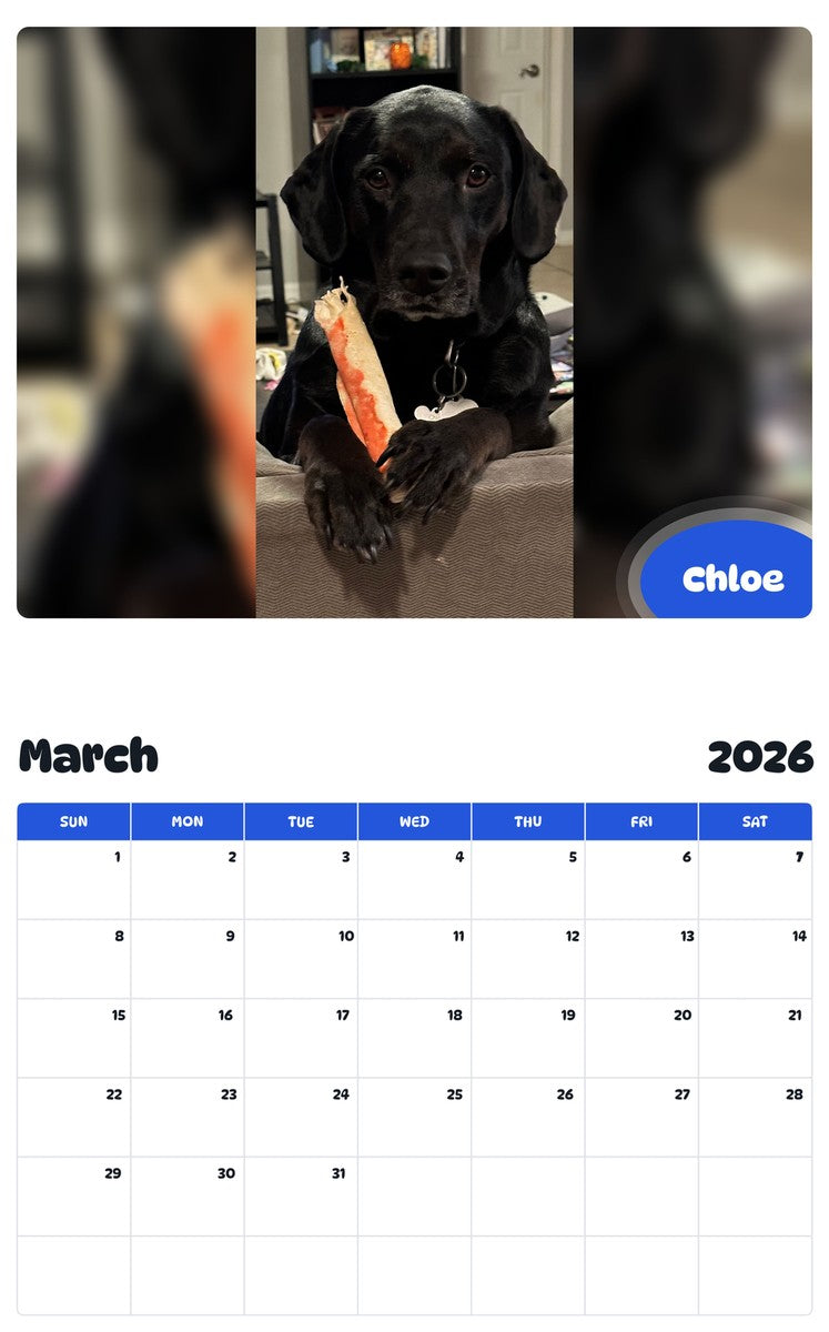 November 2025 - October 2026 Chloe - Pawidols Pet Calendar