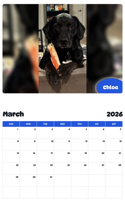 November 2025 - October 2026 Chloe - Pawidols Pet Calendar