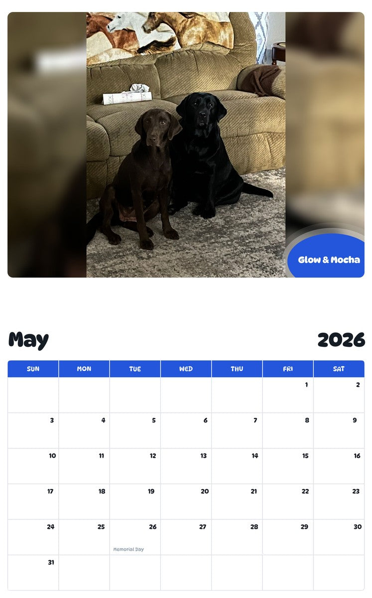 2026 - 2027 Glow & Mocha - Pawidols Pet Calendar