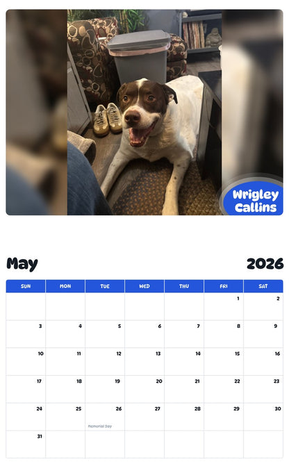 2026 - 2027 Wrigley Callins - Pawidols Pet Calendar