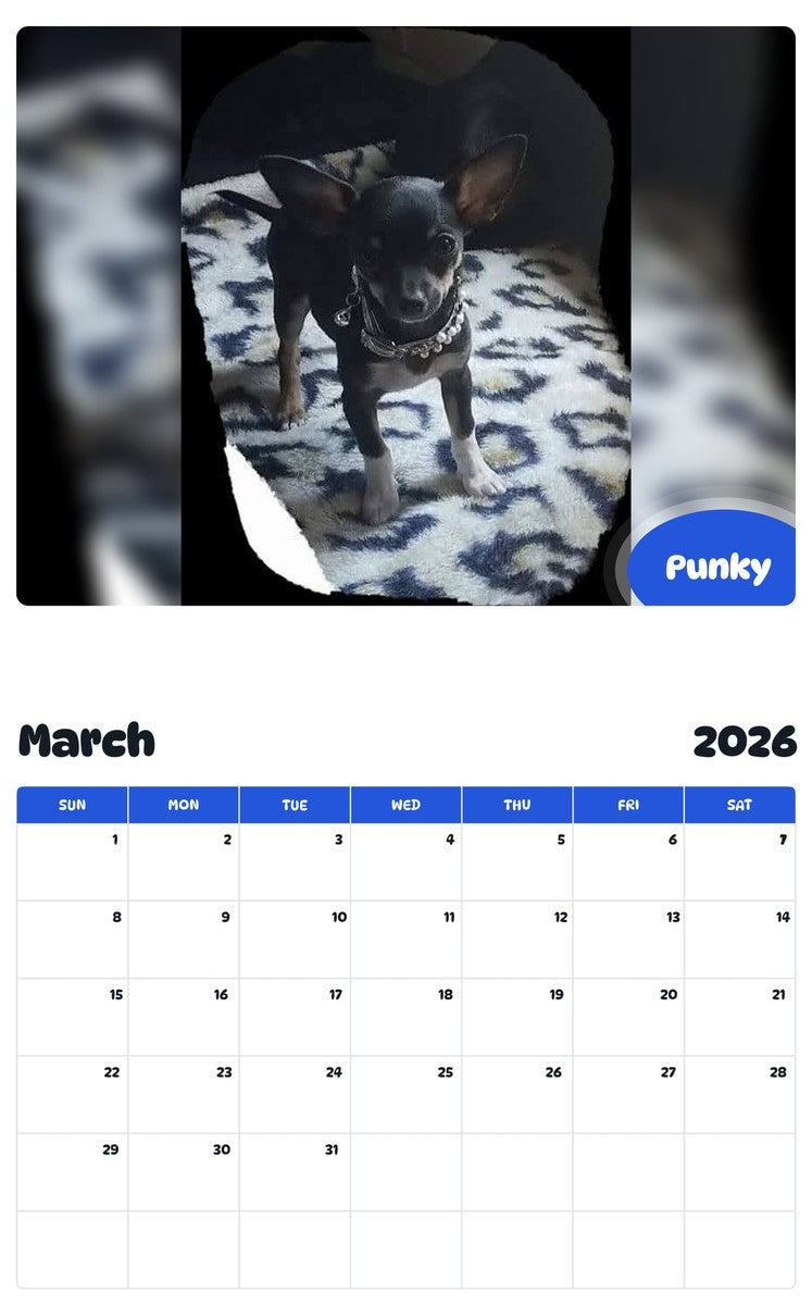 November 2025 - October 2026 Punky - Pawidols Pet Calendar