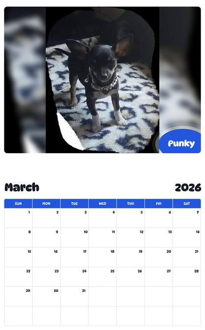 November 2025 - October 2026 Punky - Pawidols Pet Calendar