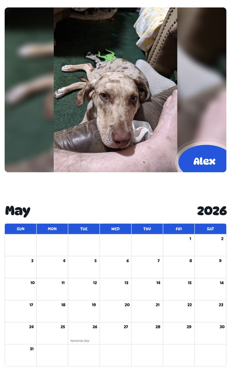 2026 - 2027 Alex - Pawidols Pet Calendar