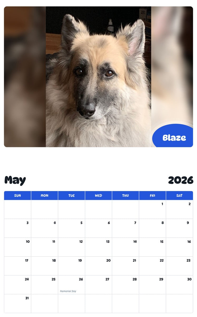 2026 - 2027 Blaze - Pawidols Pet Calendar
