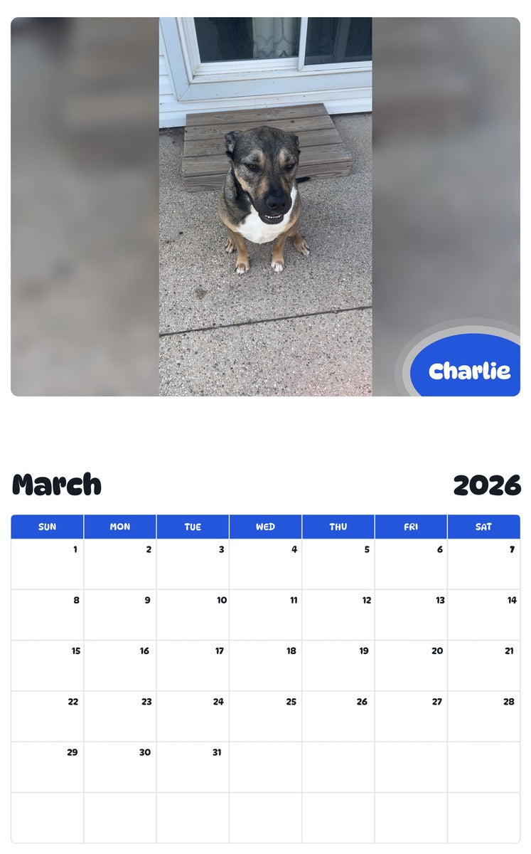 November 2025 - October 2026 Charlie - Pawidols Pet Calendar