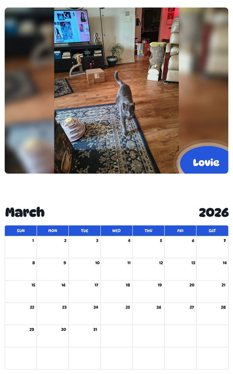 November 2025 - October 2026 Lovie - Pawidols Pet Calendar