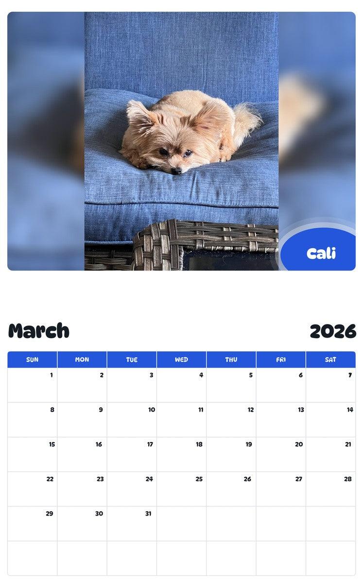 November 2025 - October 2026 Cali - Pawidols Pet Calendar