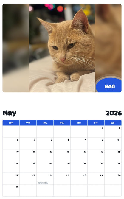 2026 - 2027 Ned - Pawidols Pet Calendar