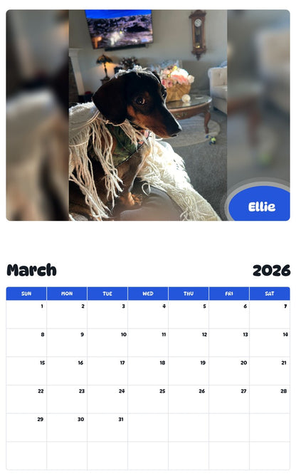 November 2025 - October 2026 Ellie - Pawidols Pet Calendar