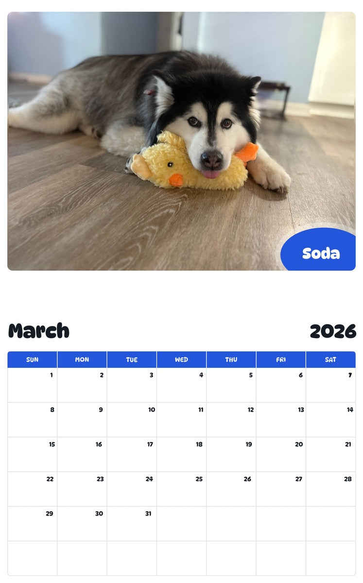 November 2025 - October 2026 Soda - Pawidols Pet Calendar