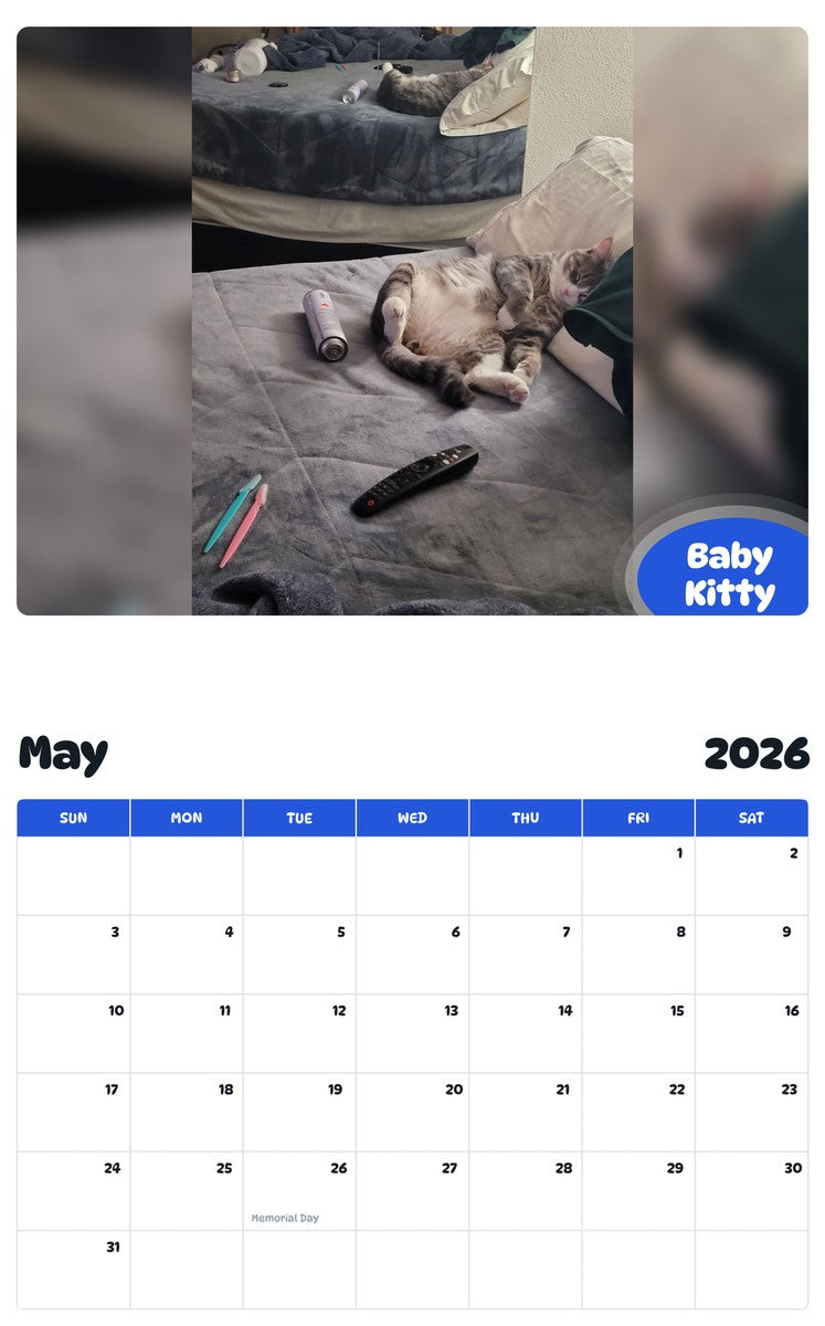 2026 - 2027 Baby Kitty - Pawidols Pet Calendar
