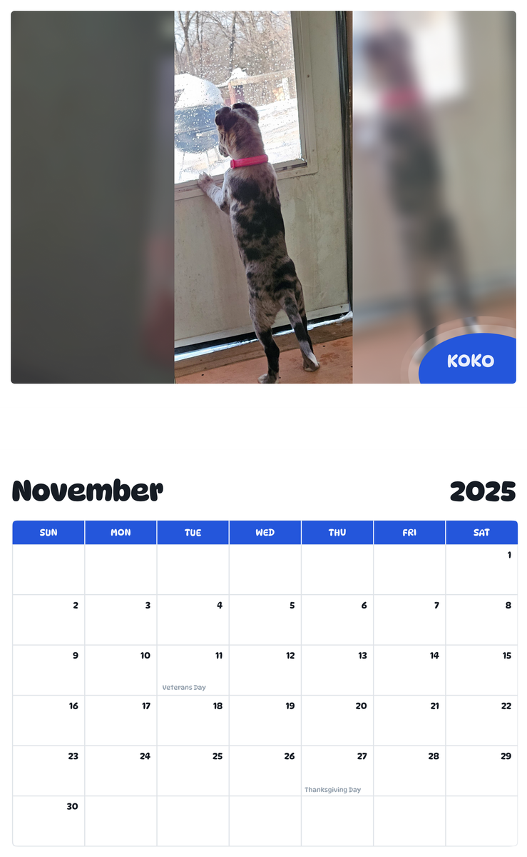 July 2025 - June 2026 Koko - Pawidols Pet Calendar