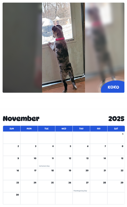 July 2025 - June 2026 Koko - Pawidols Pet Calendar
