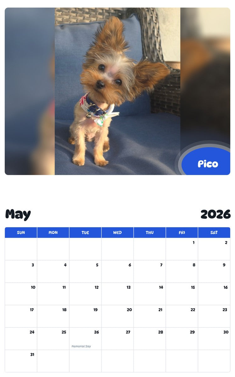 2026 - 2027 Pico - Pawidols Pet Calendar
