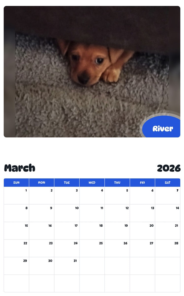 November 2025 - October 2026 River - Pawidols Pet Calendar