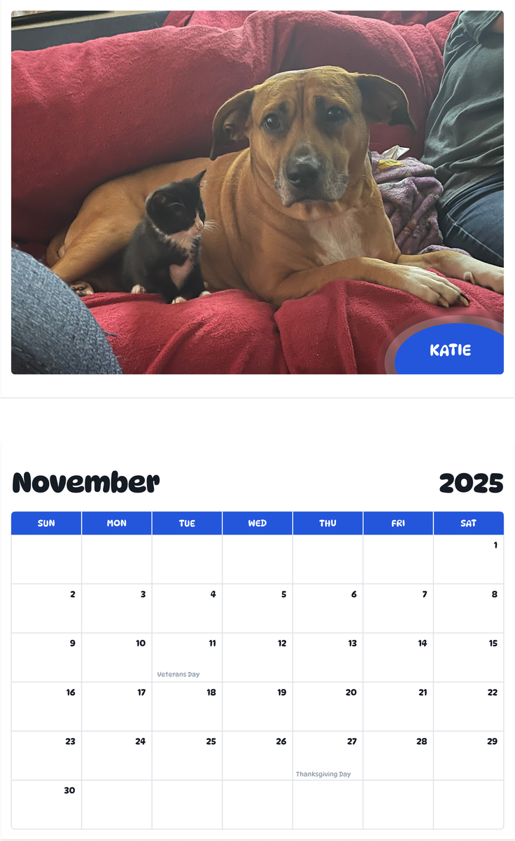 July 2025 - June 2026 Katie - Pawidols Pet Calendar