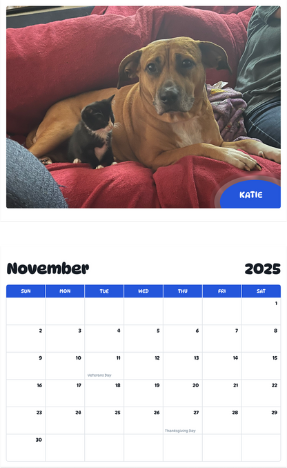 July 2025 - June 2026 Katie - Pawidols Pet Calendar