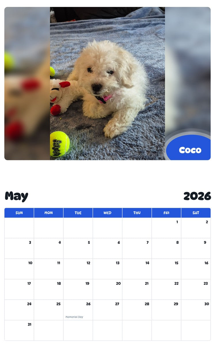 2026 - 2027 Coco - Pawidols Pet Calendar