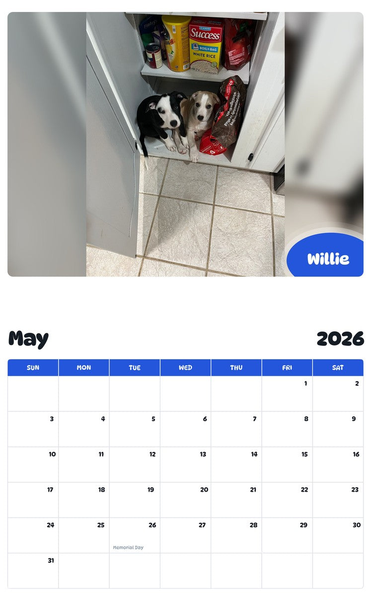 2026 - 2027 Willie - Pawidols Pet Calendar