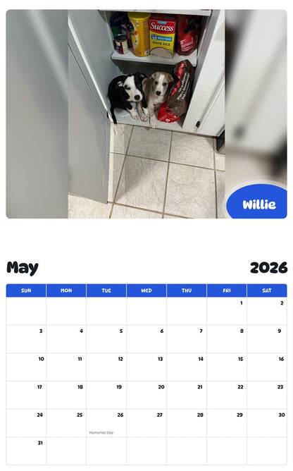 2026 - 2027 Willie - Pawidols Pet Calendar