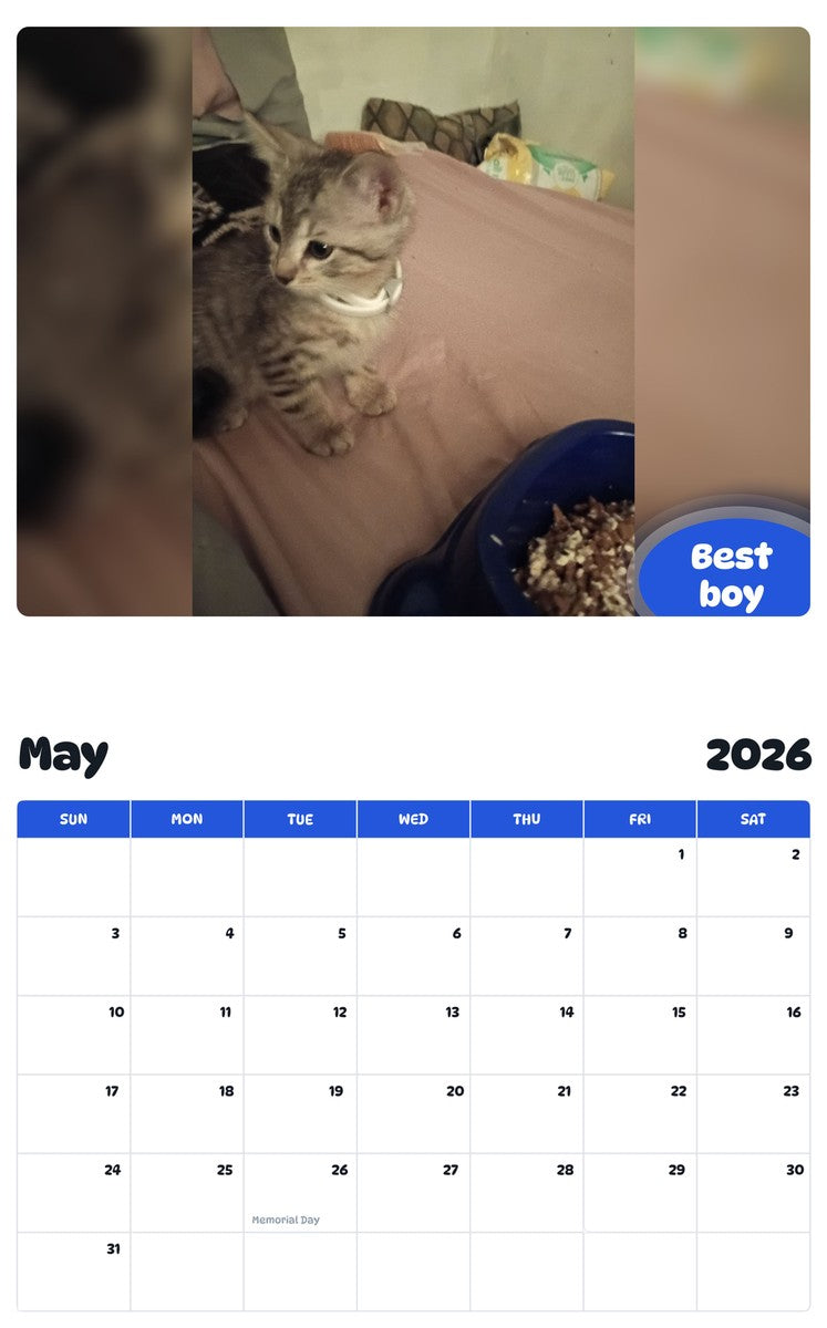2026 - 2027 Best boy - Pawidols Pet Calendar