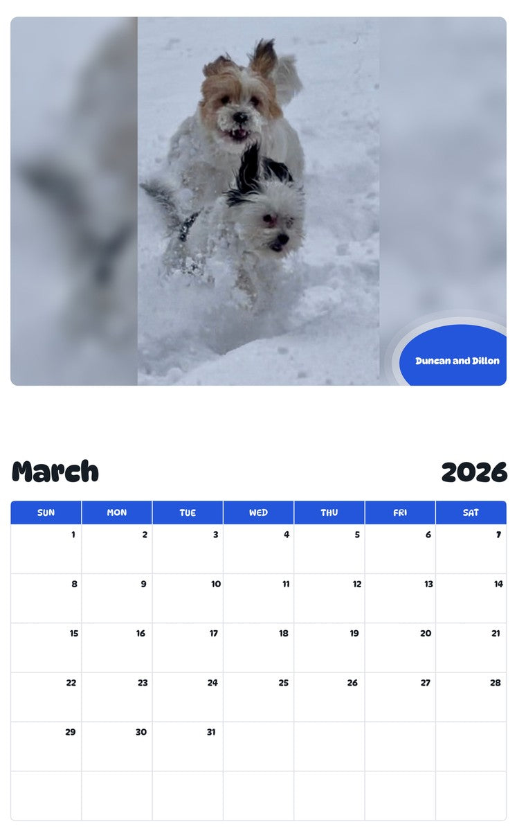 November 2025 - October 2026 Duncan and Dillon - Pawidols Pet Calendar