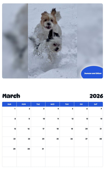 November 2025 - October 2026 Duncan and Dillon - Pawidols Pet Calendar