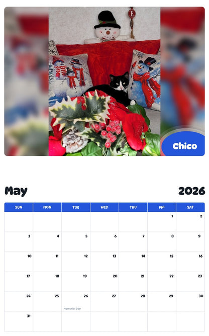 2026 - 2027 Chico - Pawidols Pet Calendar