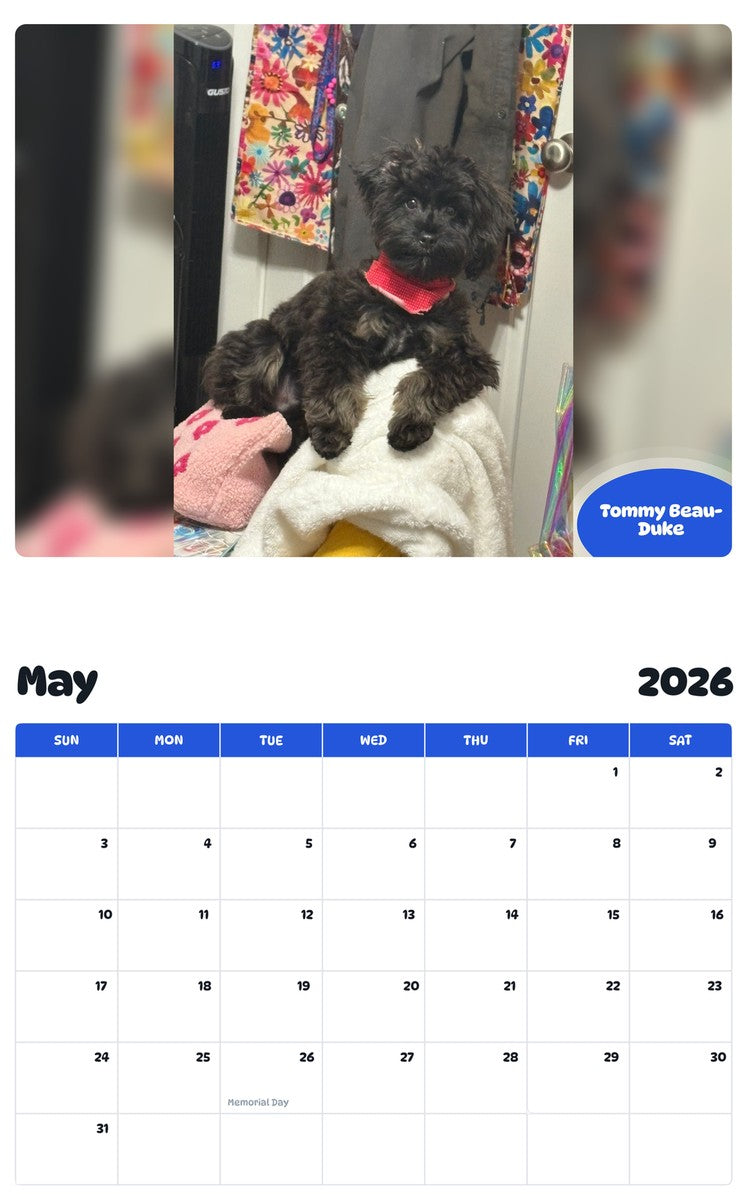 2026 - 2027 Tommy Beau-Duke - Pawidols Pet Calendar