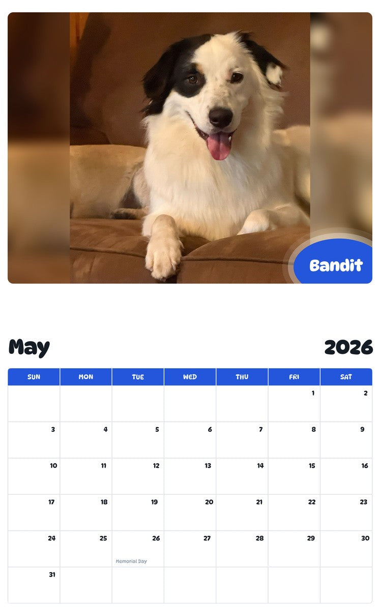 2026 - 2027 Bandit - Pawidols Pet Calendar