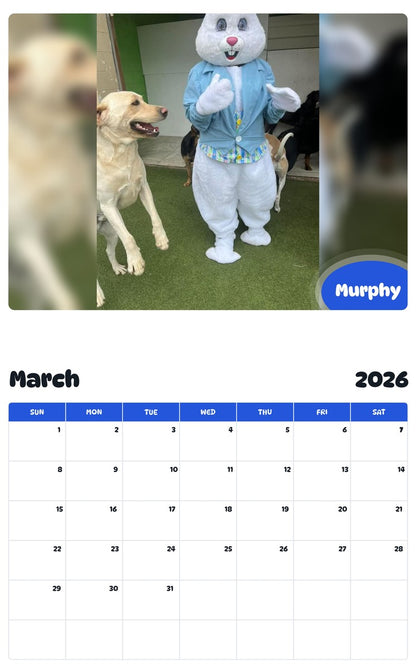 November 2025 - October 2026 Murphy - Pawidols Pet Calendar