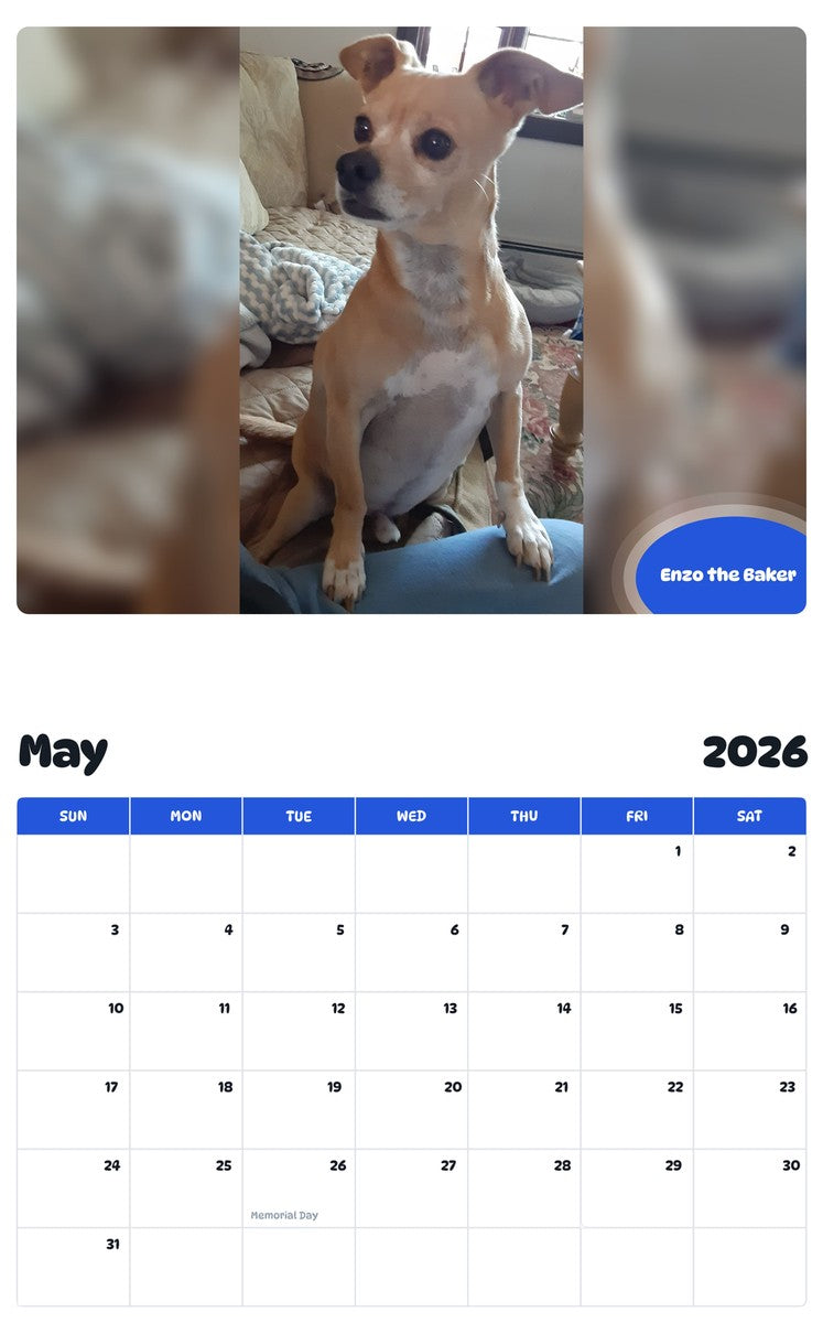2026 - 2027 Enzo the Baker - Pawidols Pet Calendar