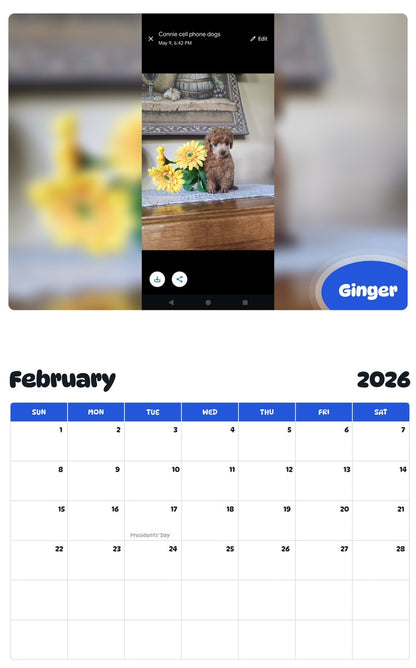 October 2025 - September 2026 Ginger - Pawidols Pet Calendar