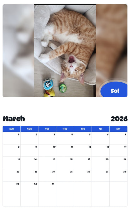November 2025 - October 2026 Sol - Pawidols Pet Calendar