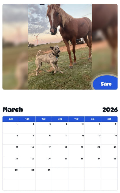November 2025 - October 2026 Sam - Pawidols Pet Calendar