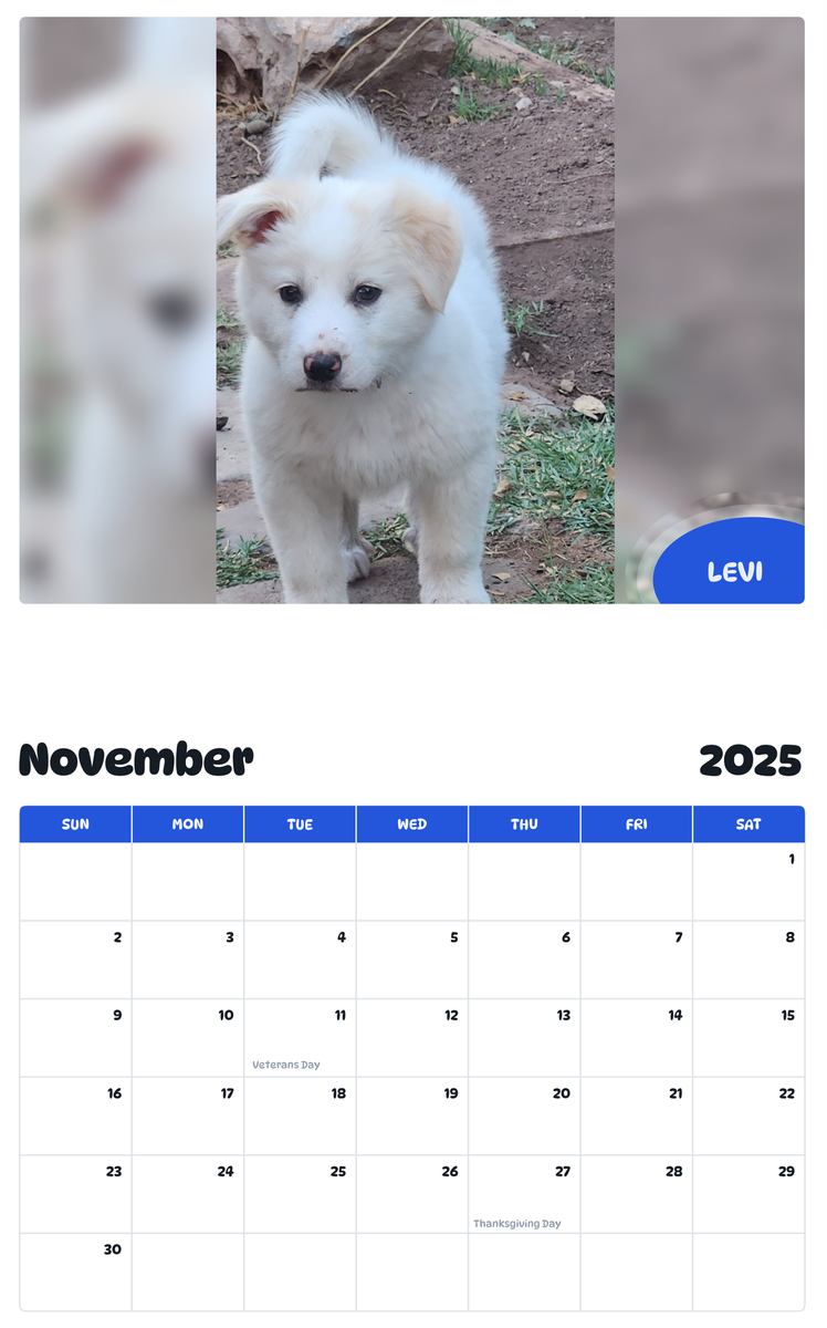 July 2025 - June 2026 Levi - Pawidols Pet Calendar