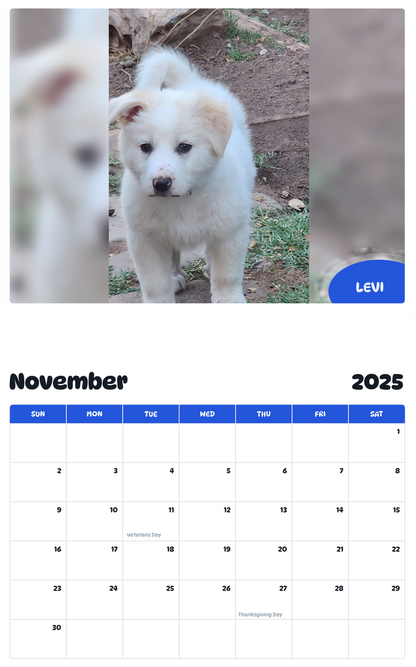 July 2025 - June 2026 Levi - Pawidols Pet Calendar