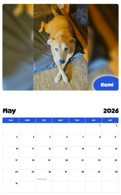2026 - 2027 Remi - Pawidols Pet Calendar