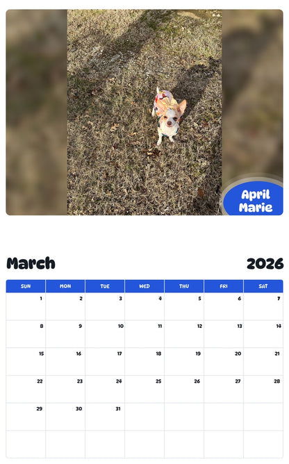 November 2025 - October 2026 April Marie - Pawidols Pet Calendar