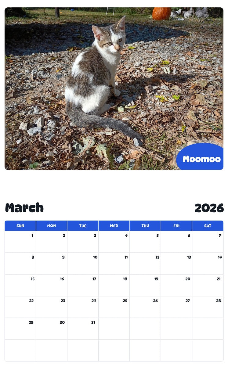 November 2025 - October 2026 Moomoo - Pawidols Pet Calendar