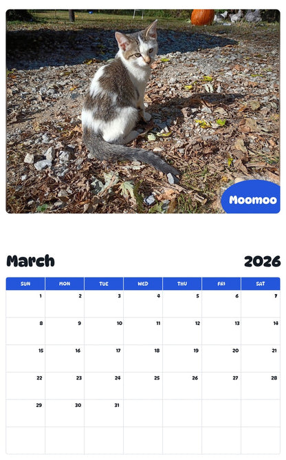 November 2025 - October 2026 Moomoo - Pawidols Pet Calendar