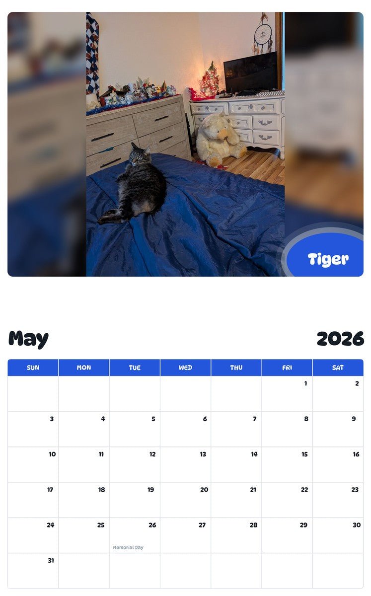 2026 - 2027 Tiger - Pawidols Pet Calendar